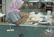 Plastic Accessory,Plastic Components,Plastic Moulding,Malaysia,Singapore,China